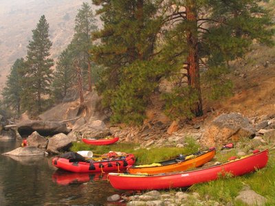 Middle Fork Salmon